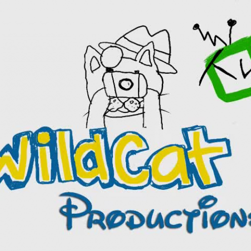 BCA Activities Preview