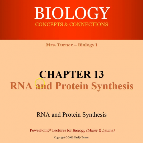 Chapter 13 Section 3 Video