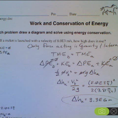 561PhyConsEnergyHorse