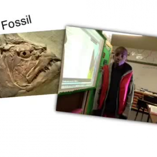 fossil
