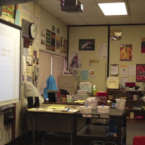 Investigation 4, Part 3, Day 1