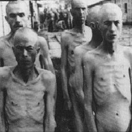 Holocaust (Video by Hannah Thayer)