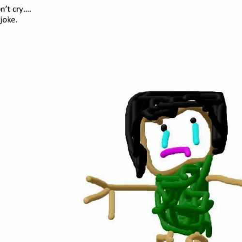 Tanner Fantastic Jokes 2013 Presentation