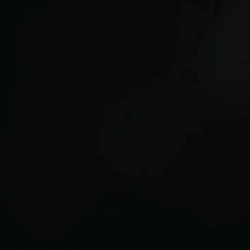 government project (trailer two)