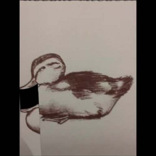 trim.2D0A81D6-73BE-4EC1-8CC5-D5FFC15B0255