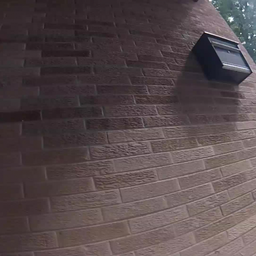 Friday, January 31 morning announcement