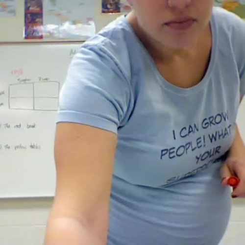 Adjective Agreement Review