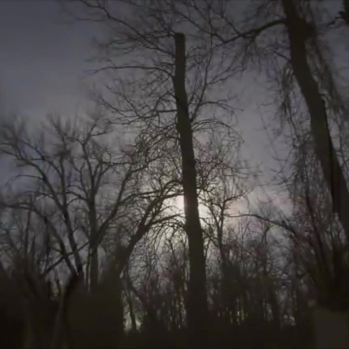 Homestead Native Americans