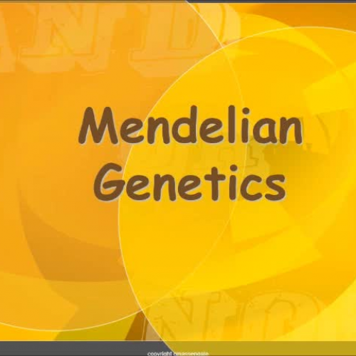 mendelian genetics for computer