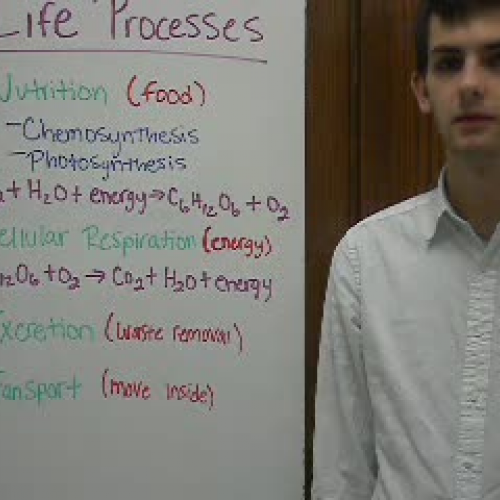 3_Life Processes Mr Wright
