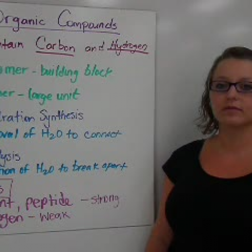 4_Organic Compounds Basics