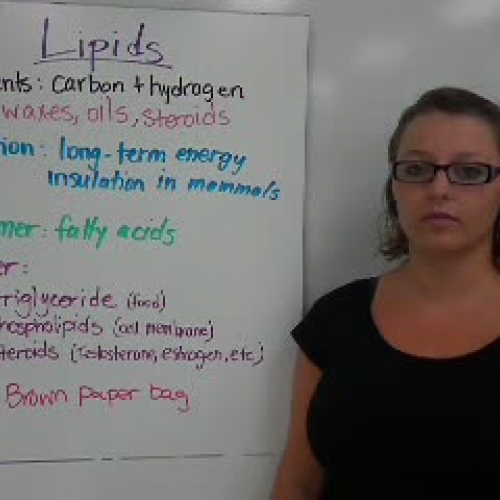 5_Lipids