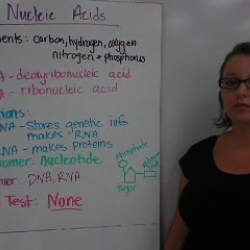 8_Nucleic Acids