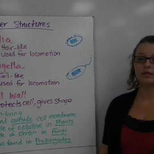 12_Parts of a Cell PART TWO - Organelles