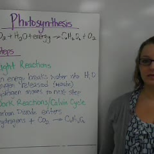 13_Parts of a Cell PART THREE - P&amp;CR