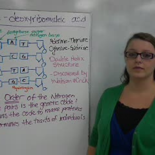 16_DNA Replication &amp; Cell Cycle