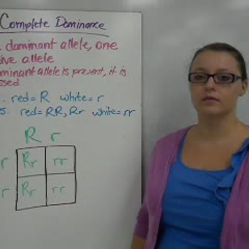 20_Types of Dominance