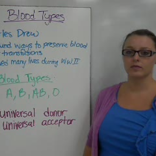 21_Blood Types