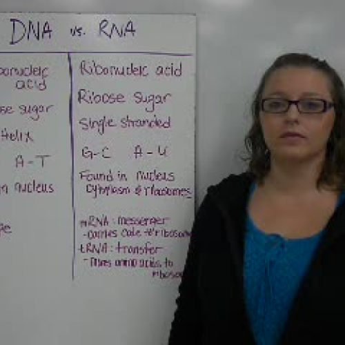 25_DNA vs RNA
