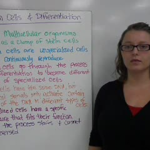 30_Cell Specialization