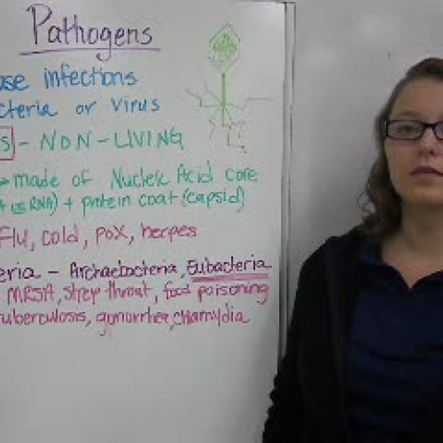 37_Pathogens &amp; The Immune System