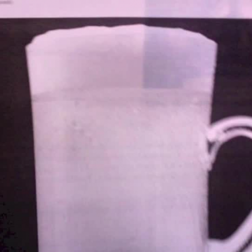 Mat Steve and Steve French