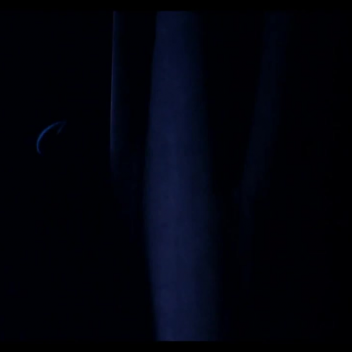 A Little Party Never Killed Nobody (All We Go