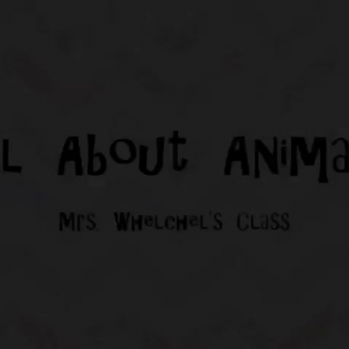 All About Animals Mrs Whechel&#8217;s Class