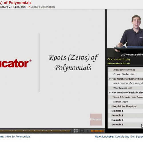 Precalculus: Roots (Zeros) of Polynomials | E