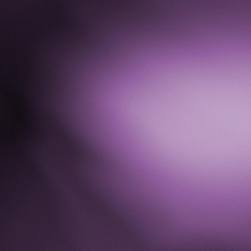 Shelby High School ASPIRE Cultural Exchange