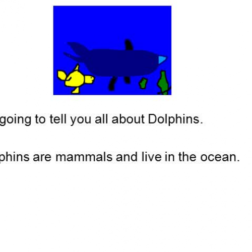 Dolphins by Elizabeth