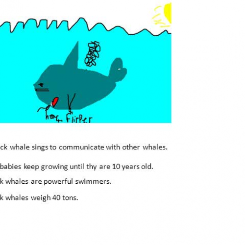 Humpback Whales by Ashlyn