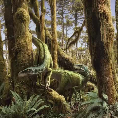 Evolution Introduction_MP4_02-13-14