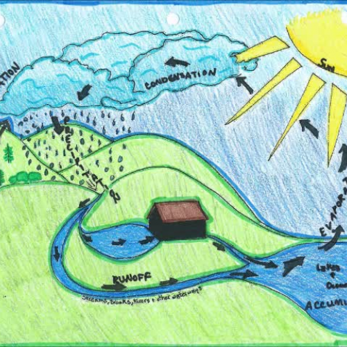 water cycle movie