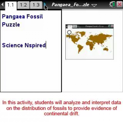 Pangaea Fossil Puzzle [Science Nspired Previe