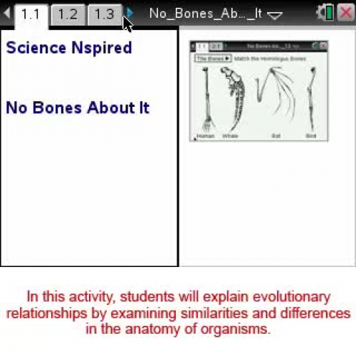 No Bones About It  [Science Nspired Preview V