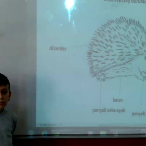 Muhammet Teaches About Hedgehogs-17.02.2014