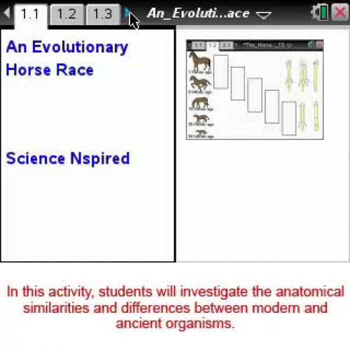 Evolutionary Horse Race [Science Nspired Prev