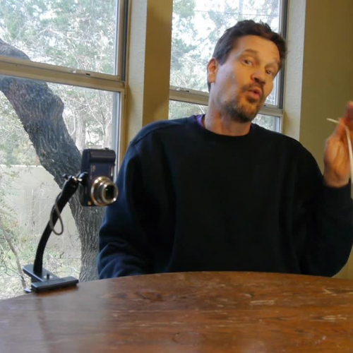 Basics of Photosynthesis: See it for yourself