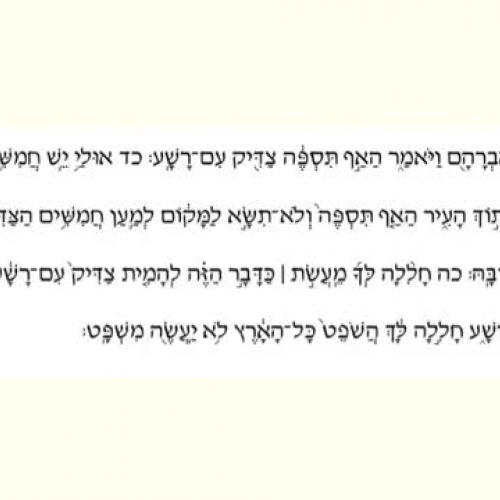 sample explian everything