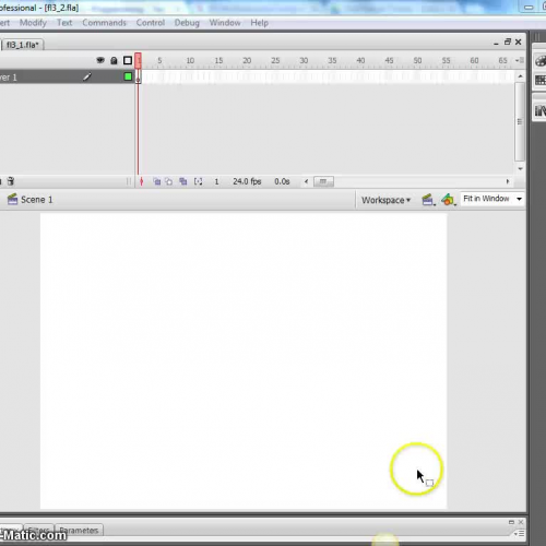 Flash Chapter 3 Lesson 2