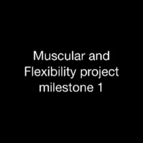 Muscular and Flexibility milestone 1