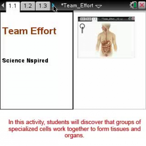 Team Effort [Science Nspired Preview Video]
