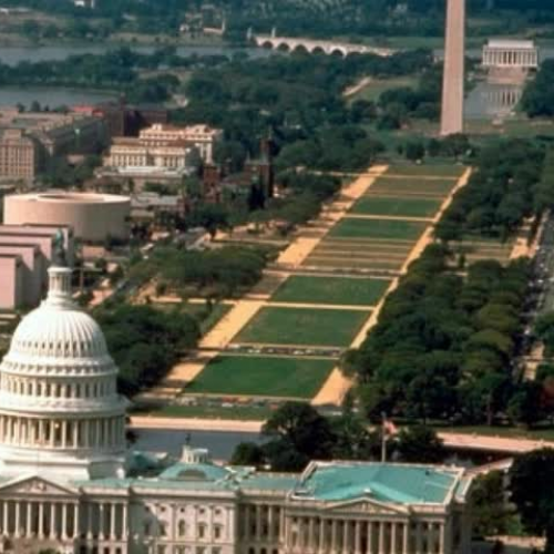 Branches of Government 