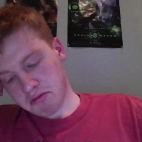 03.02 Describe the Family Visual Presentation