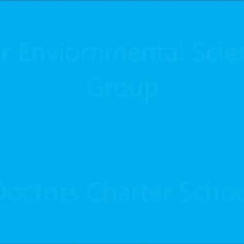 DCS Enviornmental Group