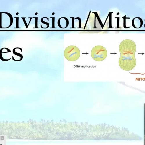 Mitosis and cell division