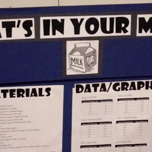 Science Proj_Hibah Siddiqui