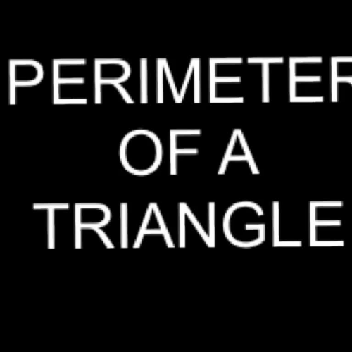 Perimeter of a Triangle