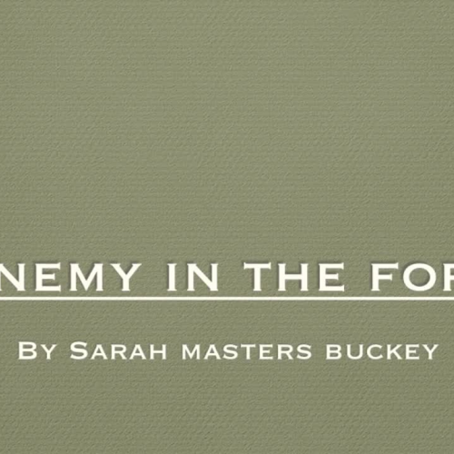 Enemy in the Fort book trailer
